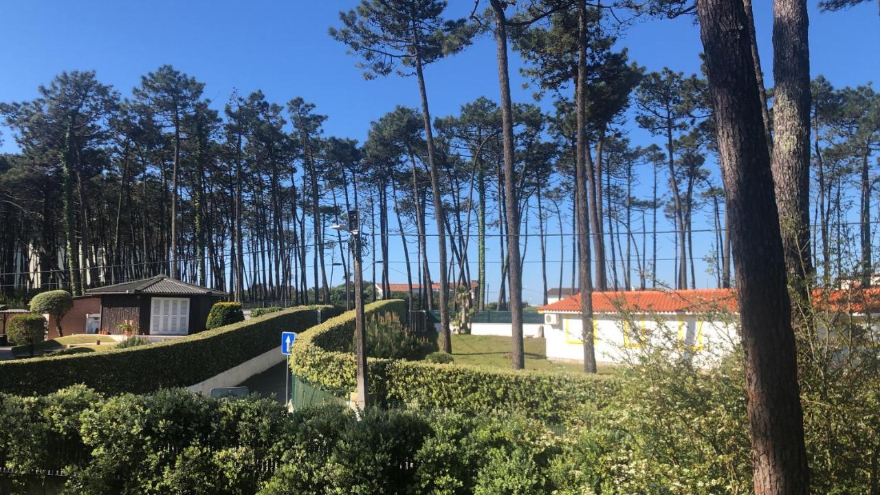 Holiday home B5 Ofir