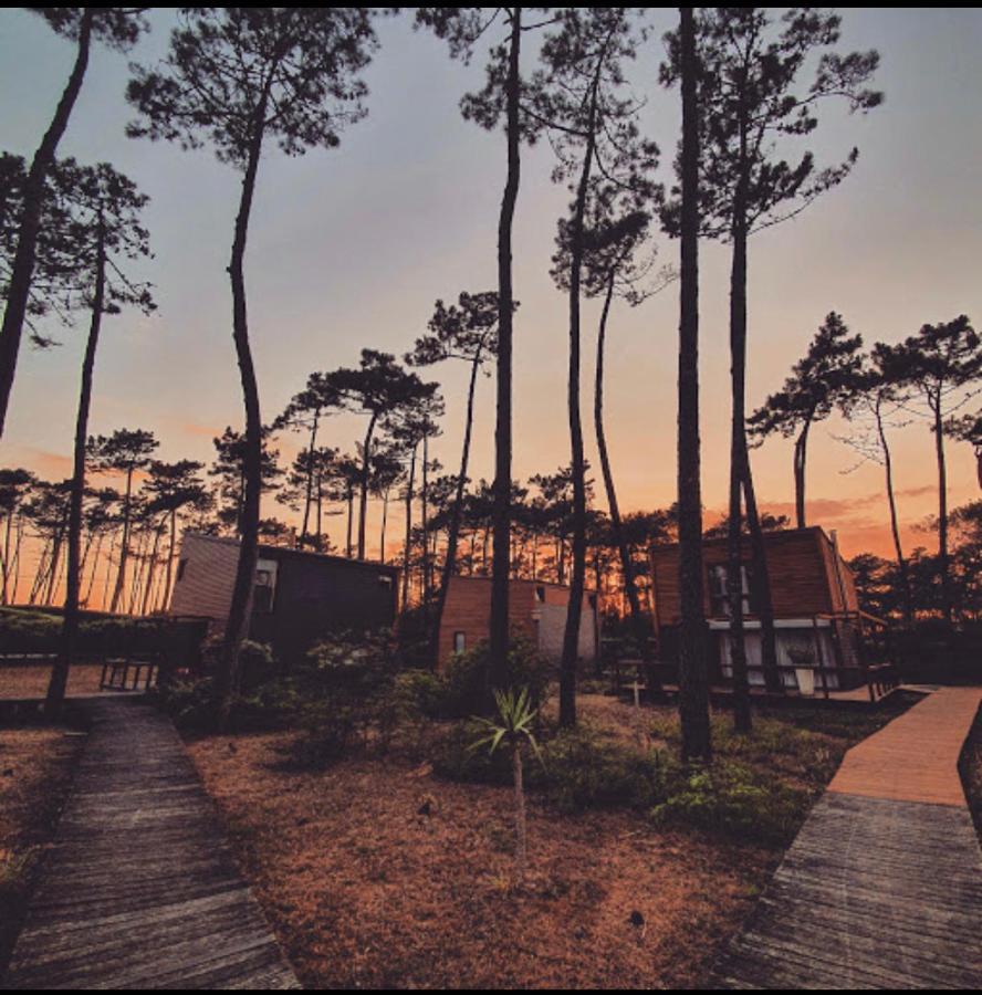 B5 Ofir Holiday home Fao