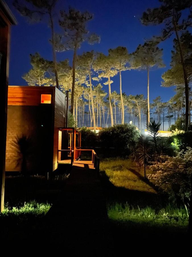 B5 Ofir Holiday home *