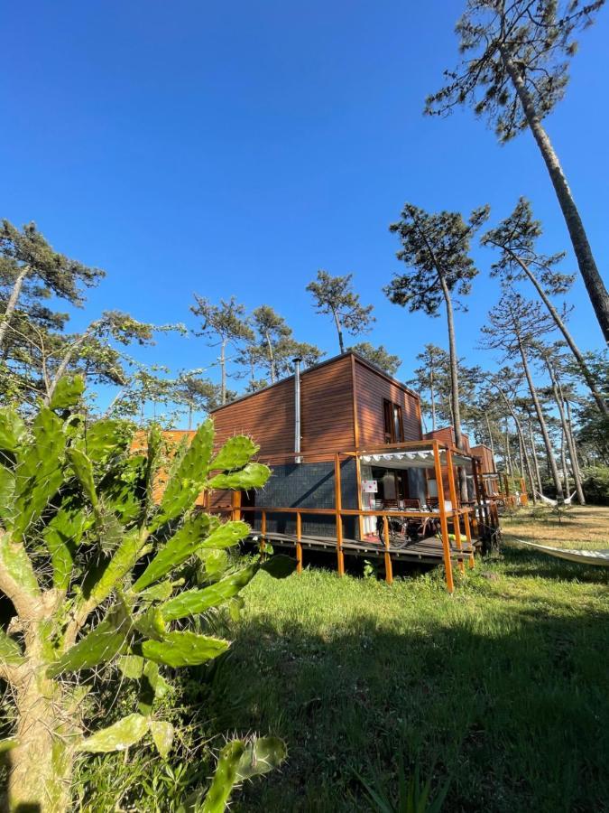 Holiday home B5 Ofir *
